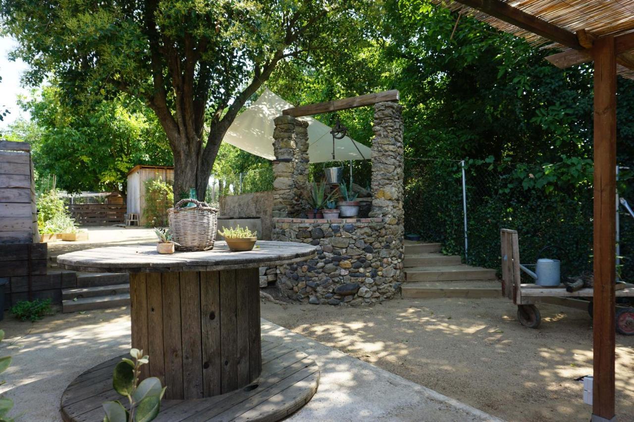 Cal Nou 9 - Adults Only Guest House Corsa Ngoại thất bức ảnh